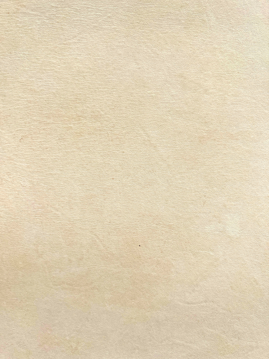 Natural Veg Tan 12'' x 12'' Pre-Cut Squares – TanneryNYC