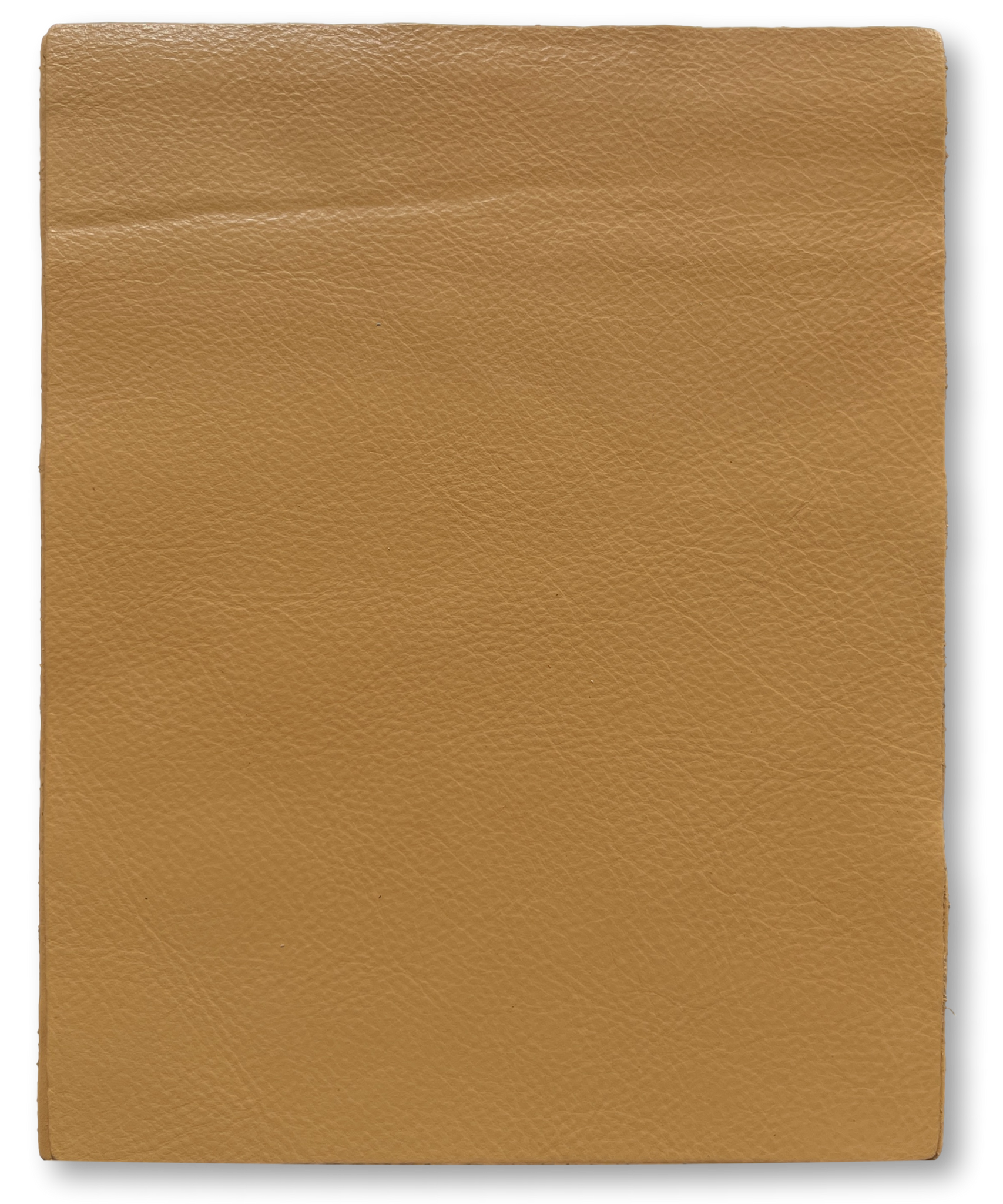 Apricot Natural Grain Cowhide Leather: 8.5" x 11" Pre-Cut Pieces