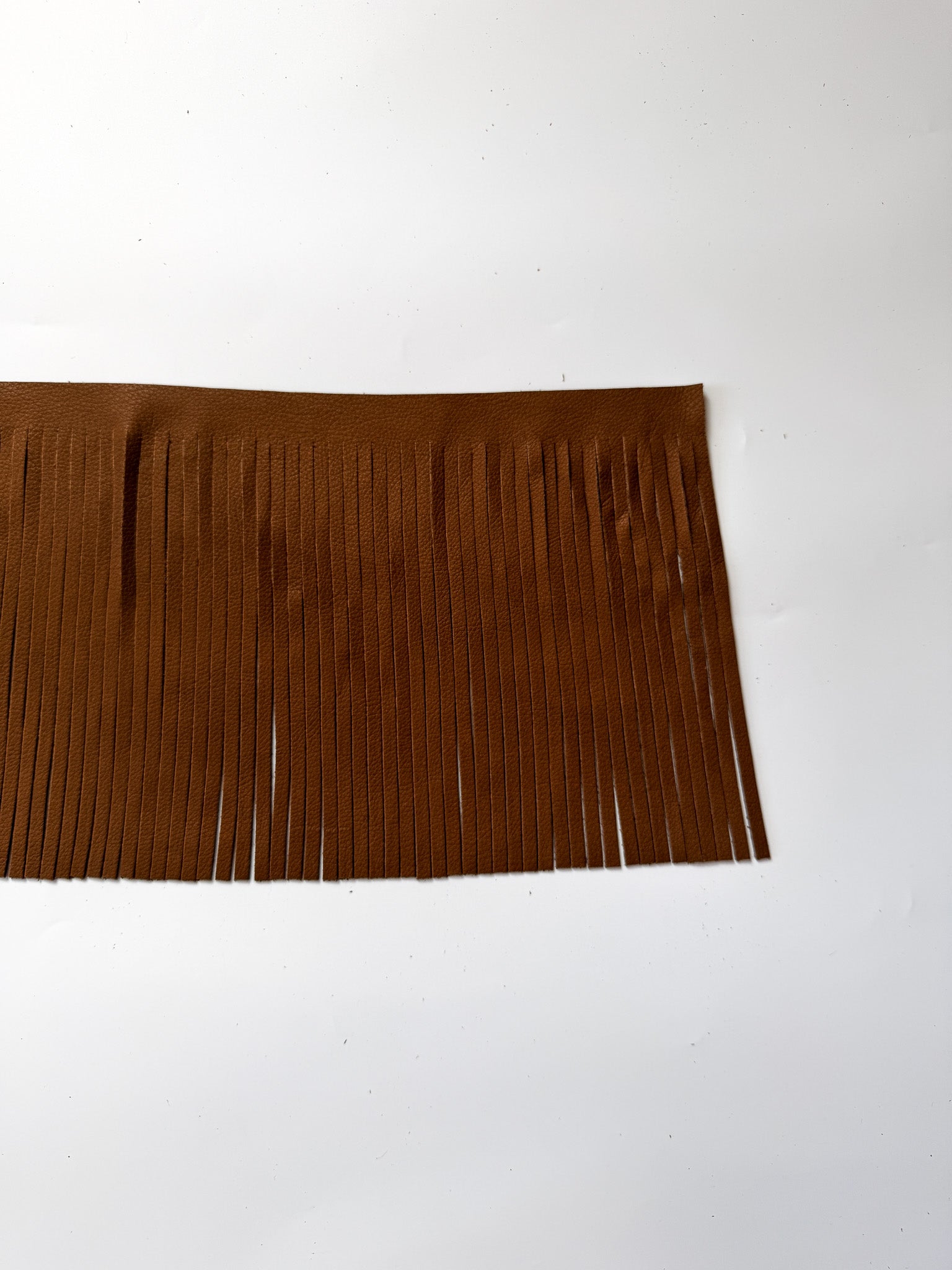 アナRich I　ATTACHMENT LEATEHR FRINGE Leather Fringe 1/4