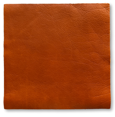 Whiskey Distressed Cowhide Sheets, 12 × 12 in shown in a full product view