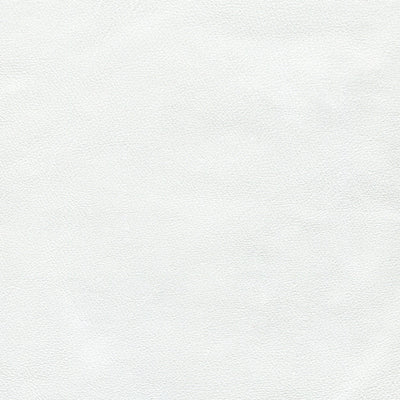 White Full-Aniline Cowhide alternate view showing color and surface finish